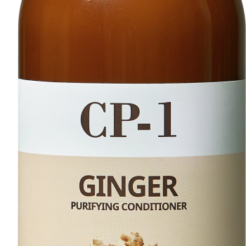 ESTHETIC HOUSE     GINGER PURIFYING CONDITIONER, 500  - Trend Beauty